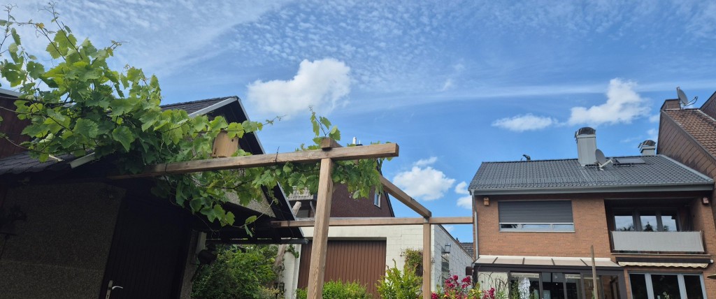 Blick vom Garten auf SW