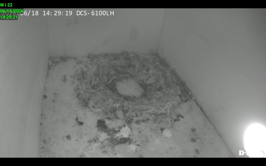 Screenshot_20260618_142921_IP Cam Viewer Lite.jpg