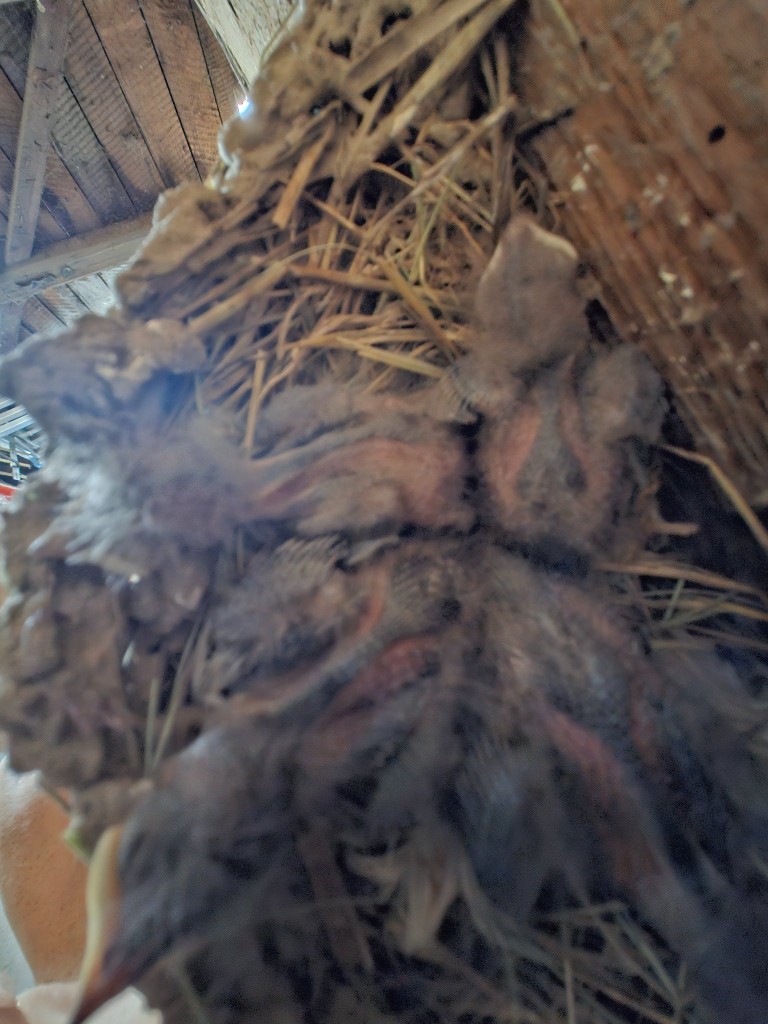 4er Nest