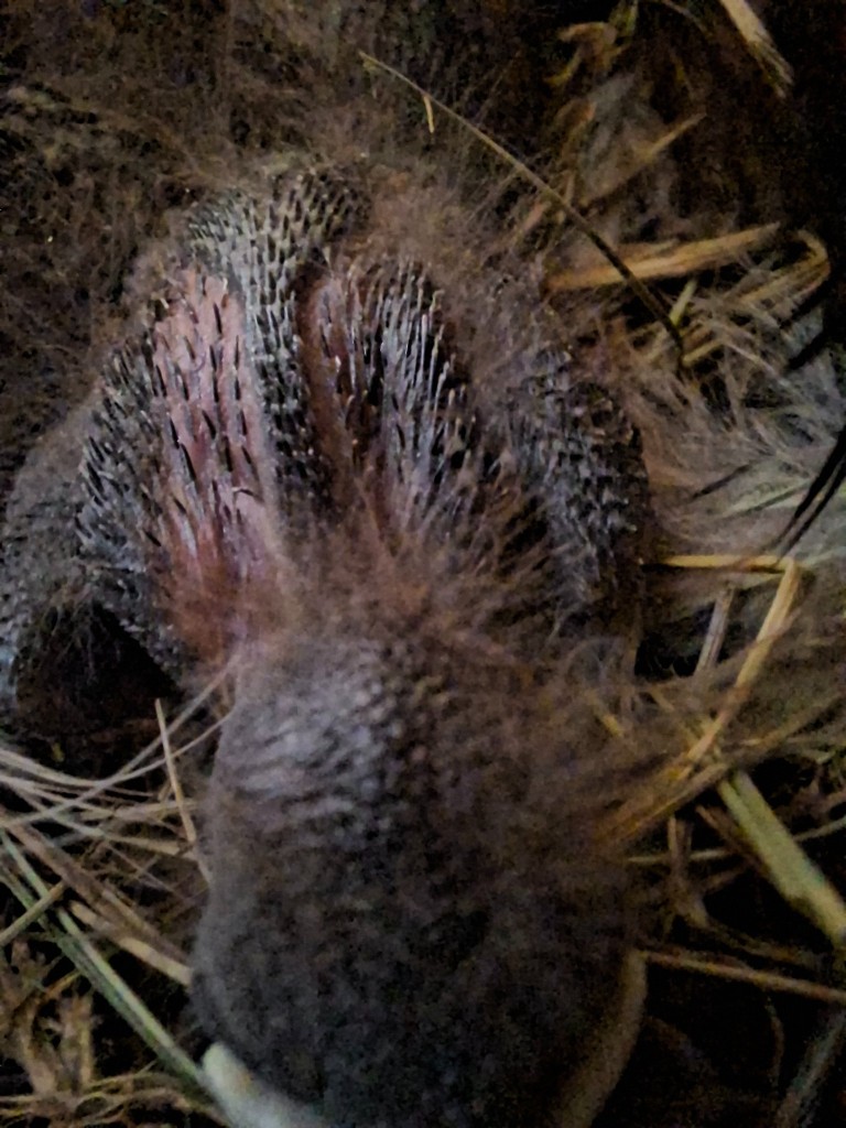 20260623_144918.jpg