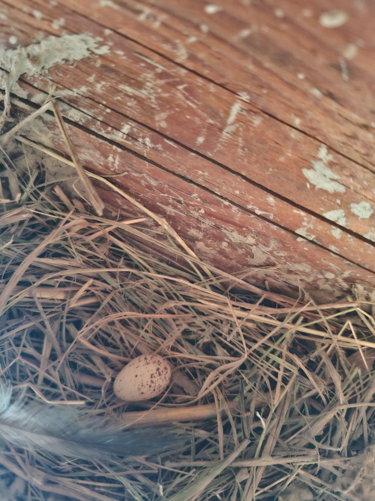 20260721_075356.jpg