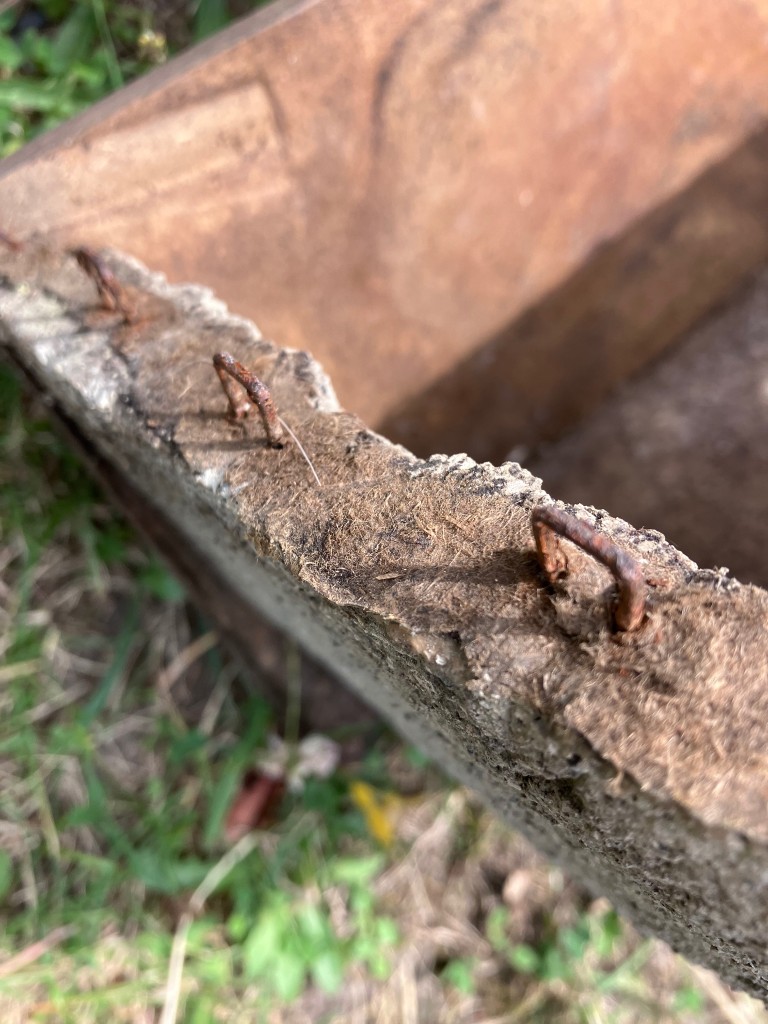 IMG_3053.jpeg
