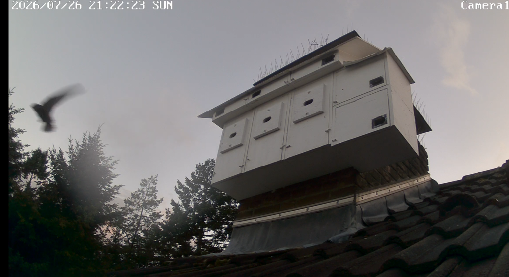 Screenshot (10022).png