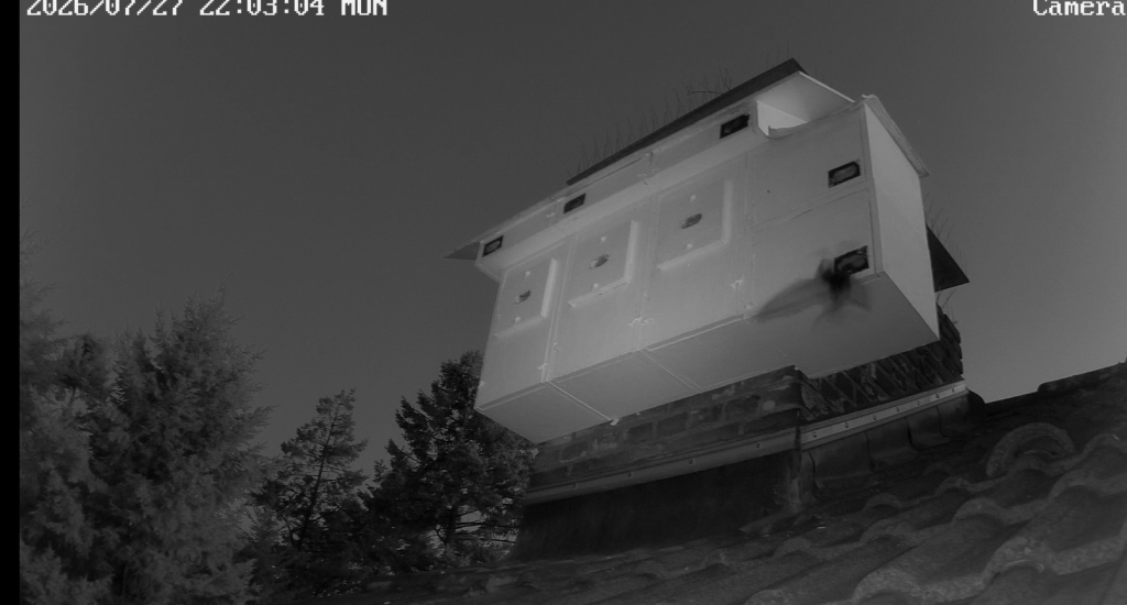 Screenshot (10043).png