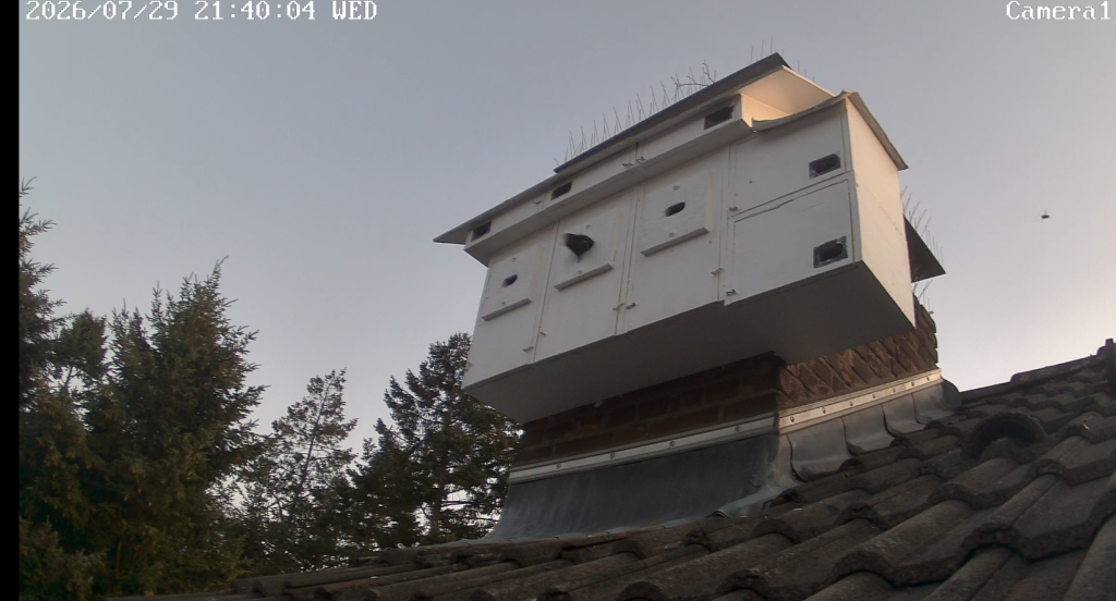 Screenshot (10063).png