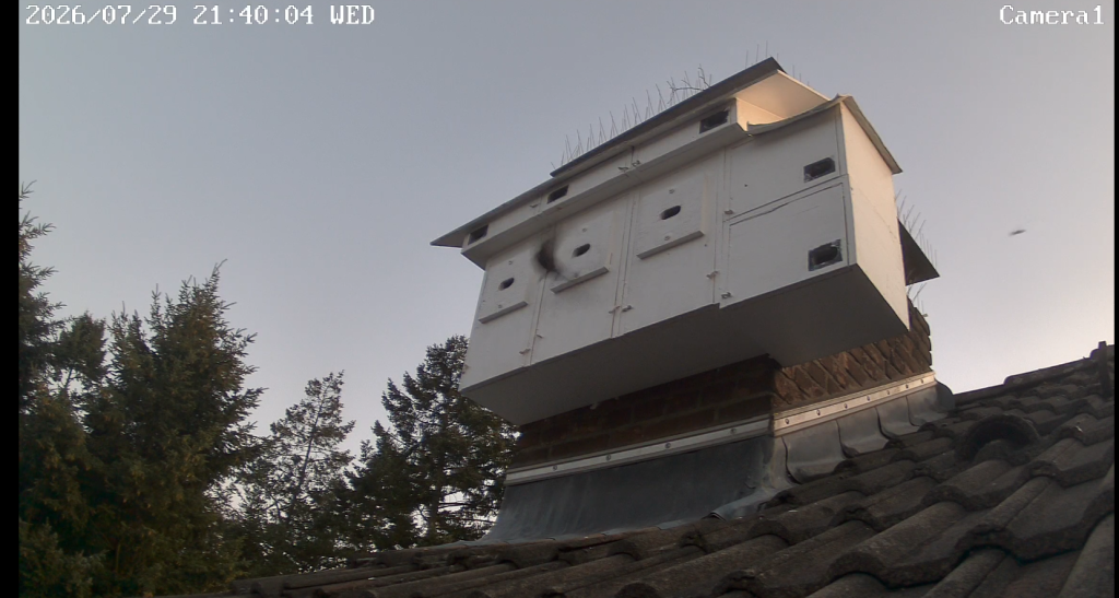 Screenshot (10065).png