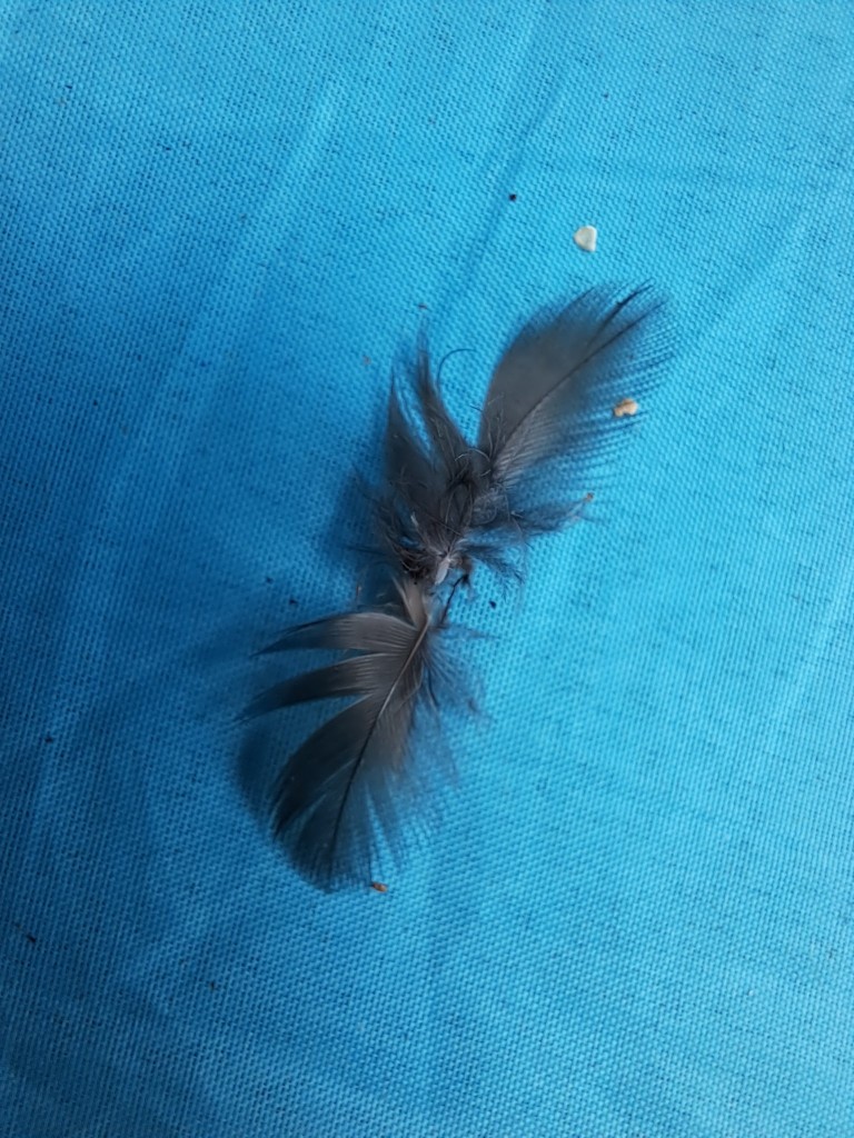 20260804_093712.jpg