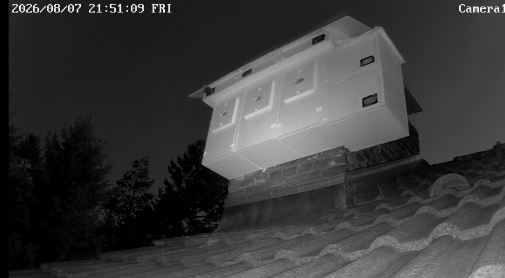Screenshot (10073).png