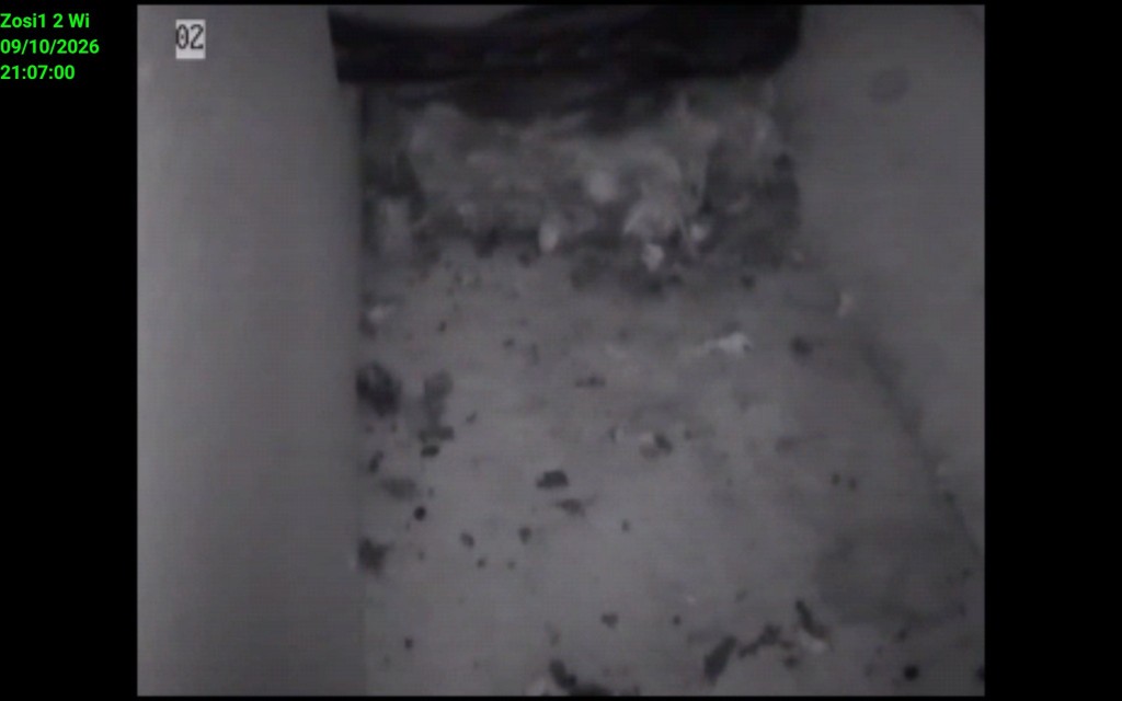 Screenshot_20260910_210700_IP Cam Viewer Lite.jpg