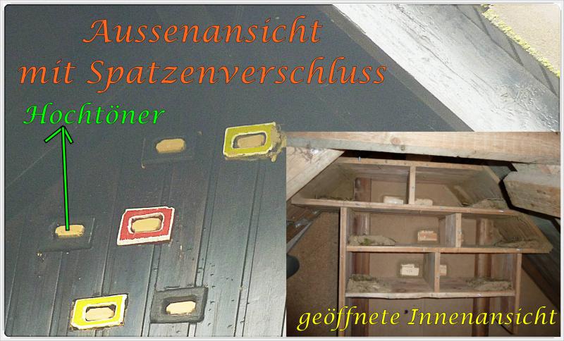 P1070862-Neu.1.JPG