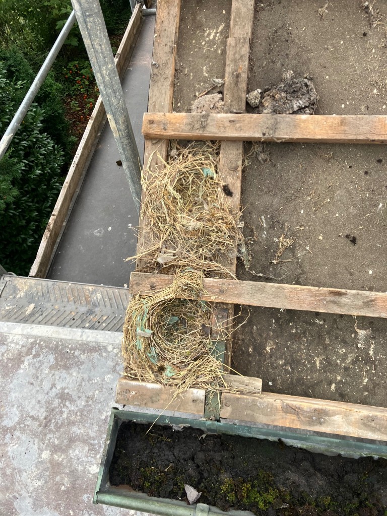 IMG_5974.jpeg