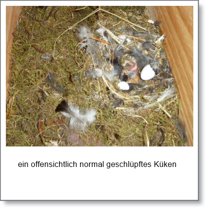 P1080922-1.JPG