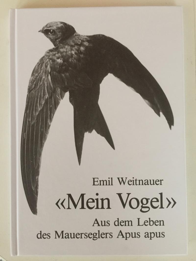 Titelbild des Mauerseglerbuchs von Weitnauer, Auflage 1989