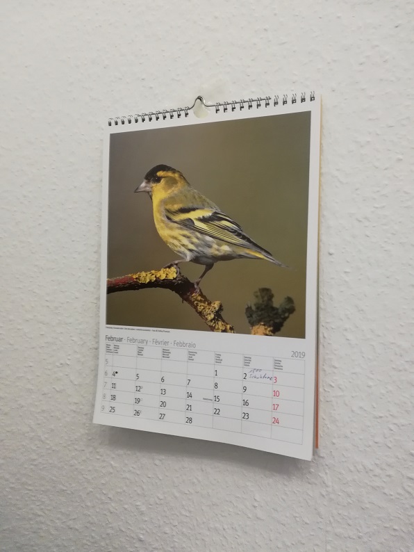 erlenzeisig kalender.jpg