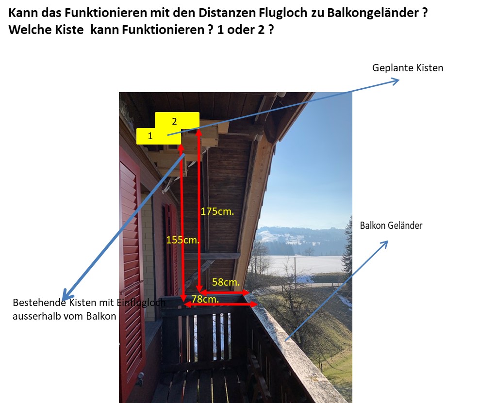 MS Foto Bearbeitet.jpg