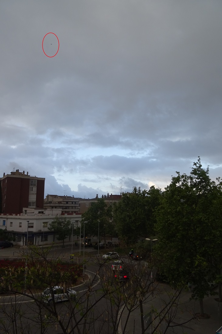 Mauersegler am 30.04.2019 in Vilafranca del Penedès
