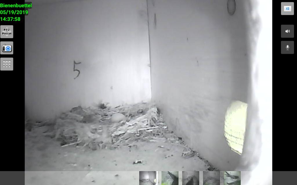 Screenshot_20190519-143759_IP Cam Viewer Basic.jpg