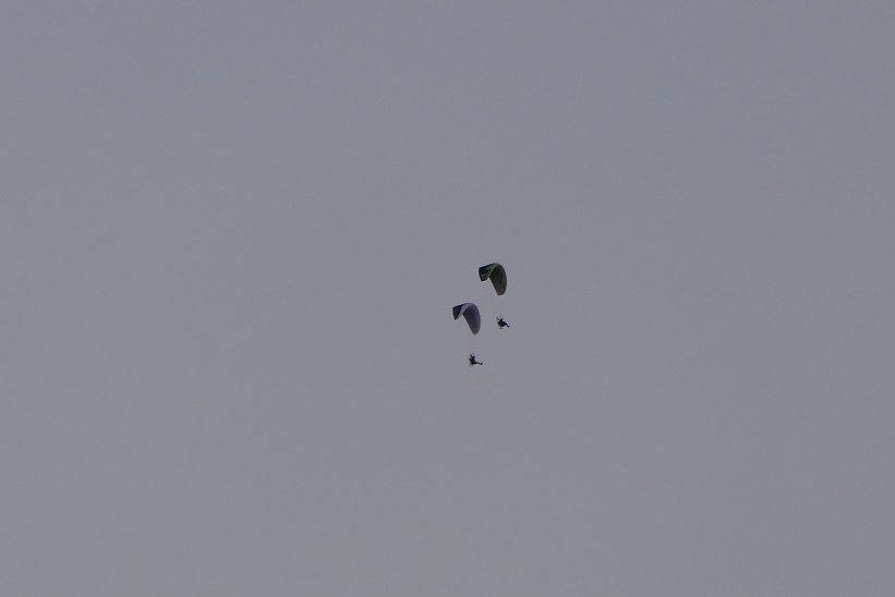 Paraglider.jpg