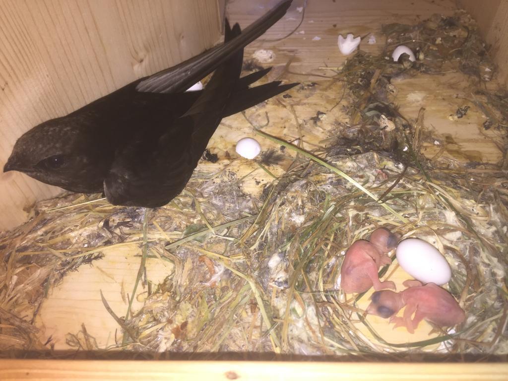 K 18, 19.06.2019.jpg