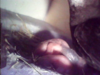 27   sichtares Futterpaket im Hals.jpg