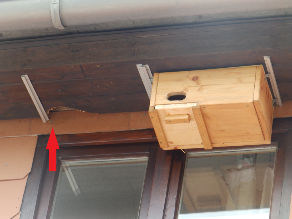 Marderloch Kasten 17.png