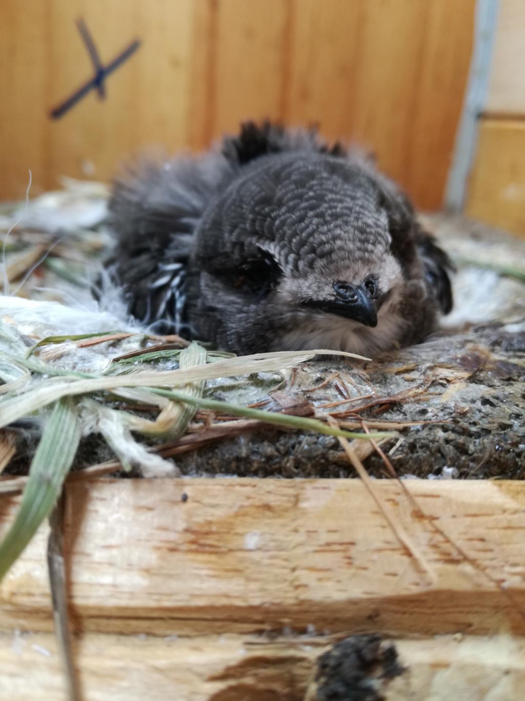 Einzelkind (Paar 1) - 06.07..jpg