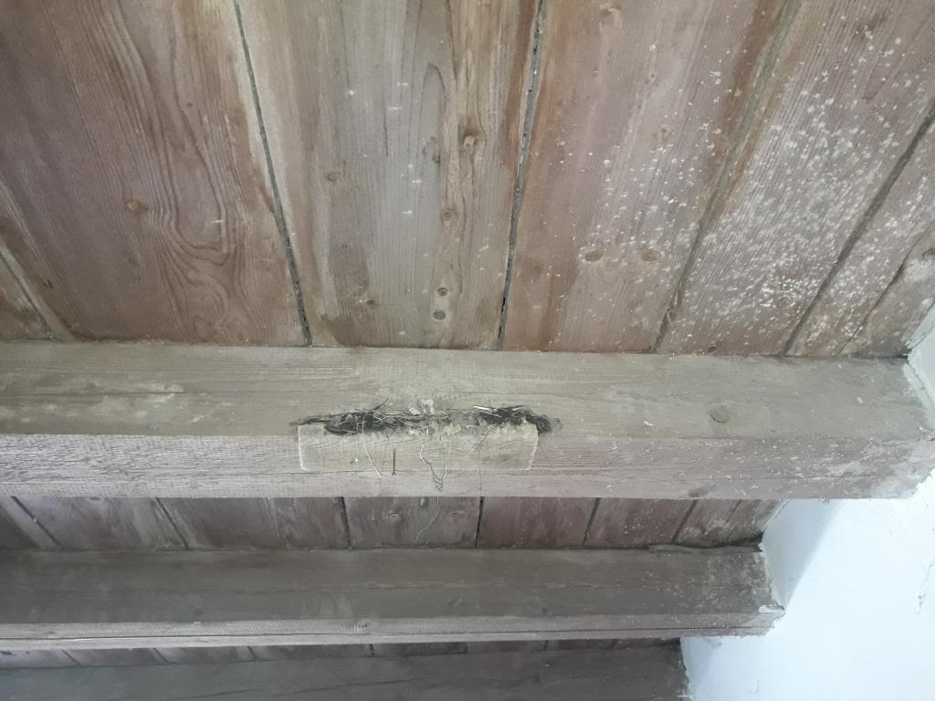 20190725_164941.jpg
