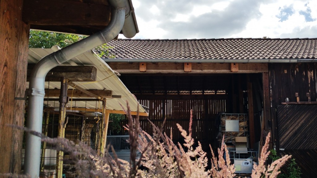 20180621_160020.jpg