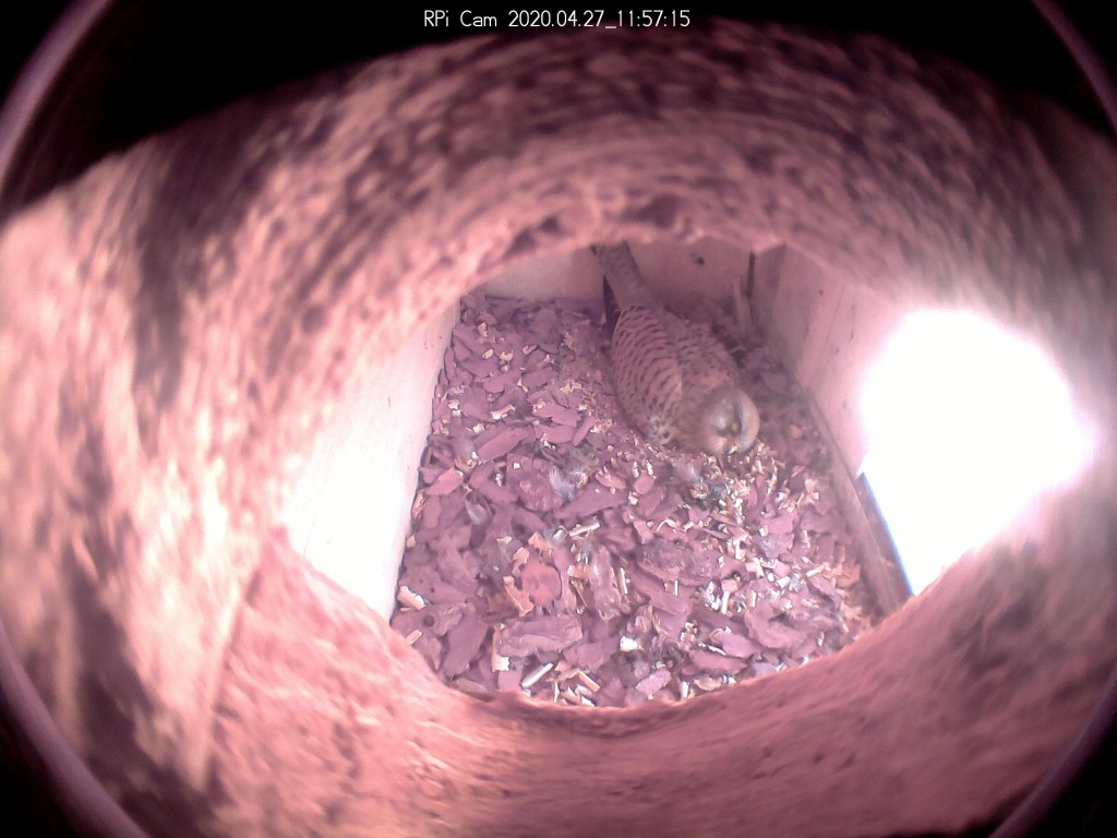 Sie träumt hoffentlich was schönes