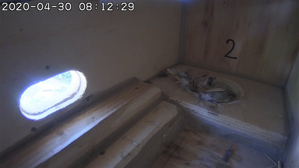 ms-k02-20200430.png