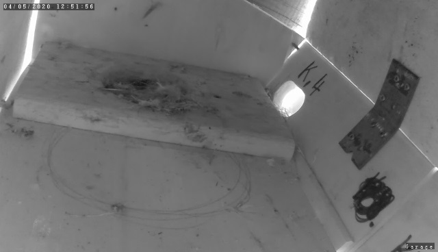 nest K4.jpg