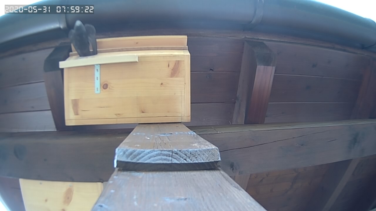 Erster Segler fliegt raus
