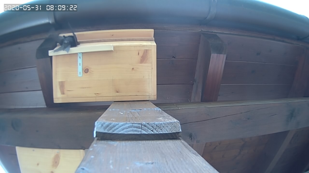 Einflug zweiter Segler nur 1 Min. später