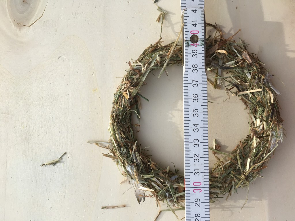 Geformter Nestring aus Heu ,mit lebensm.Silik.verklebt