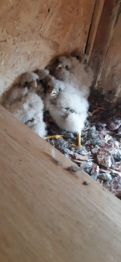 20200605_175451 (2).jpg