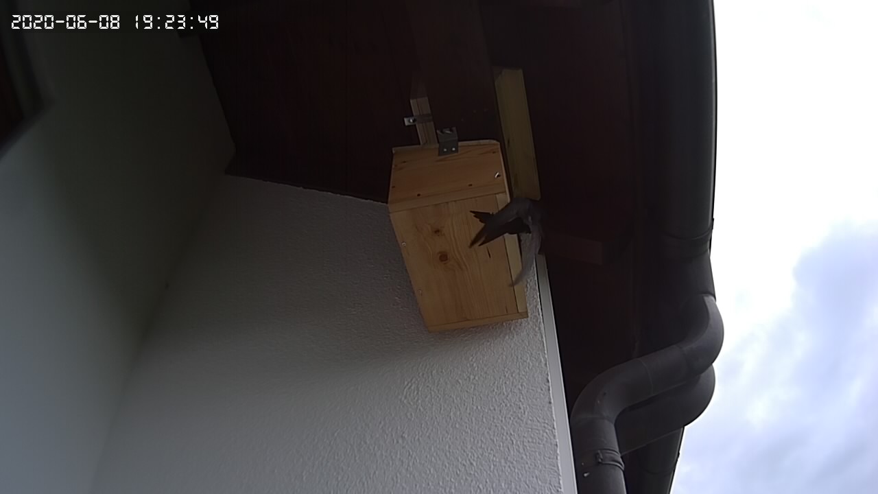 Sucher-an-Kasten-3.JPG