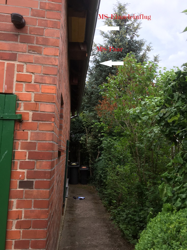 Garage 2.jpg