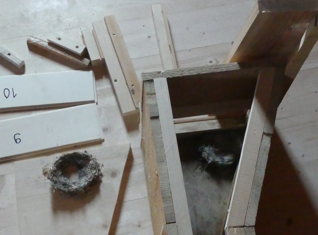 Altes Nest im neuen Kasten