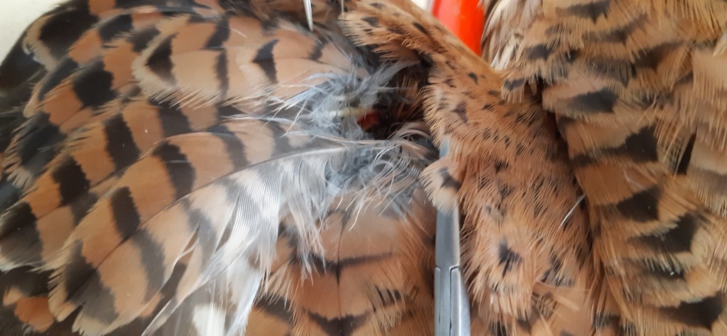 20200627_095202 (2).jpg