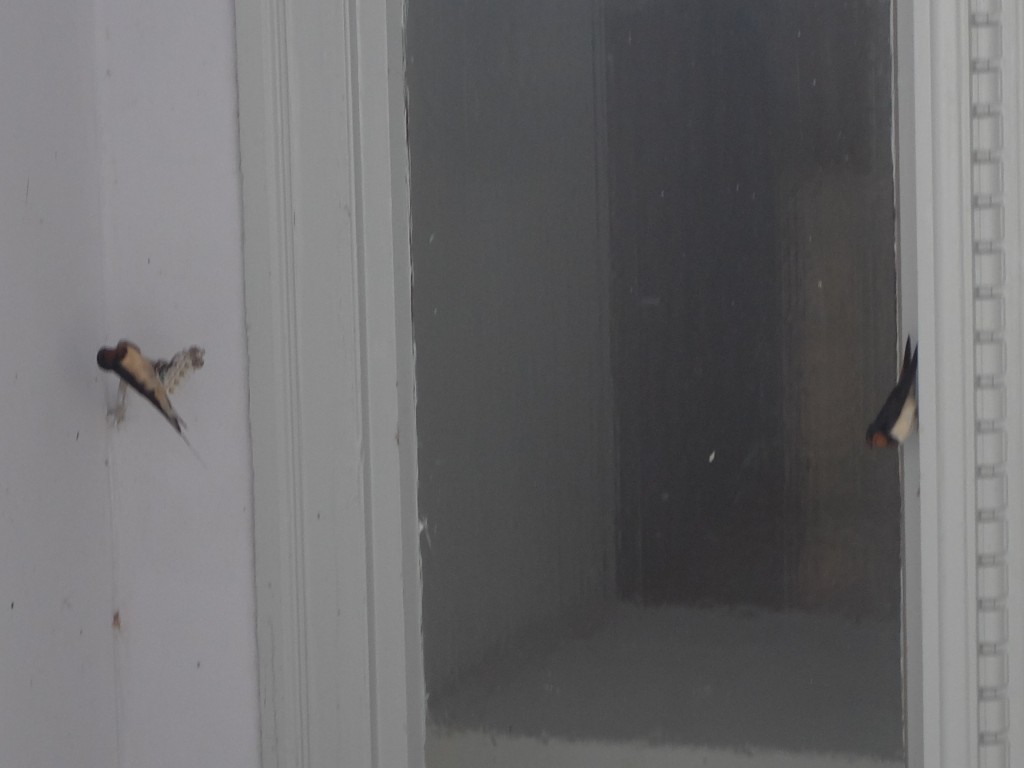 DSCF3267.JPG