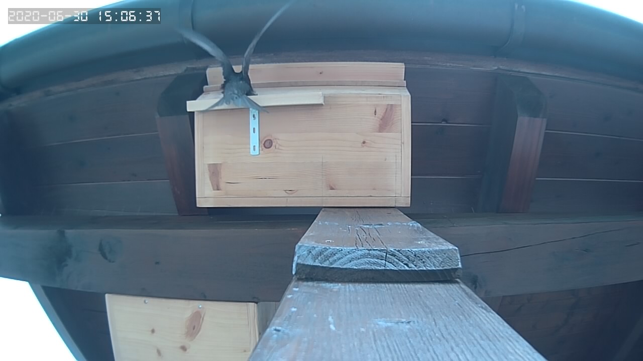 Sucher am belegten Kasten