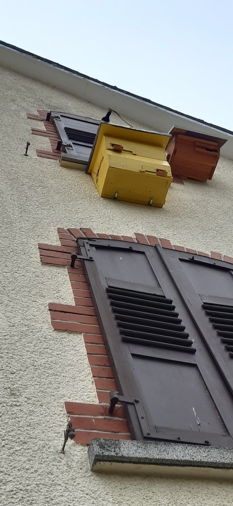 20200522_113145 (2).jpg