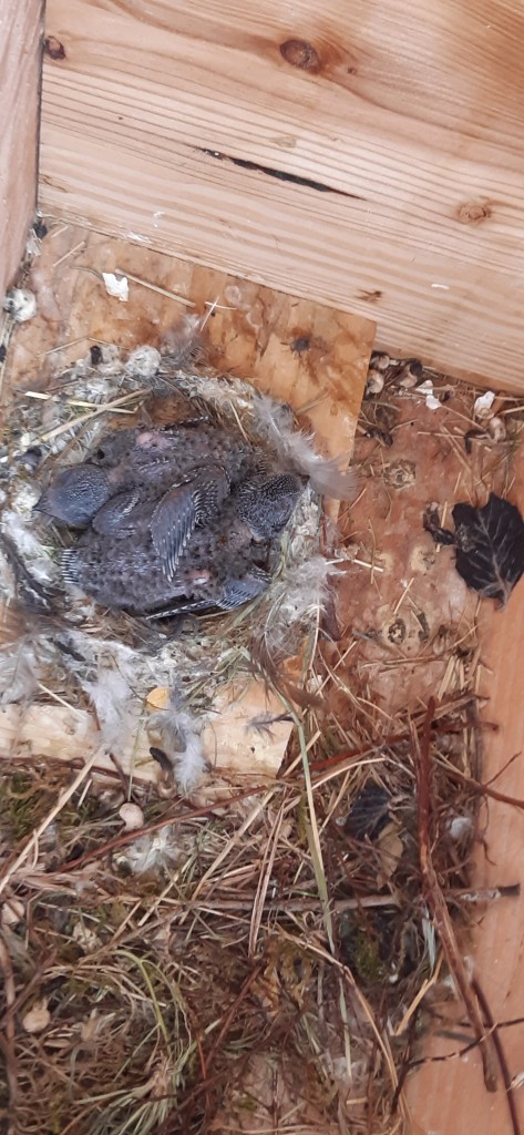 20200704_160815 (2).jpg