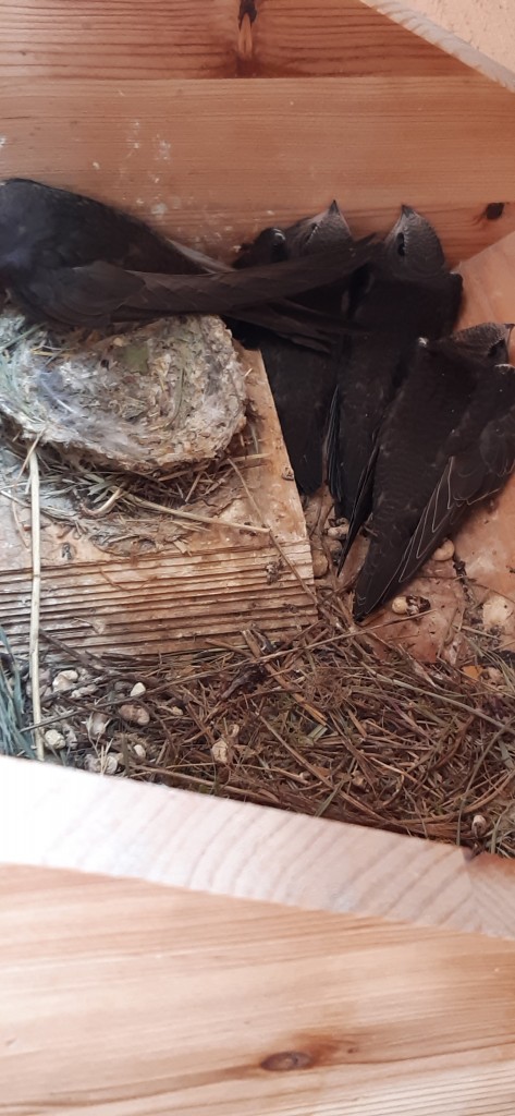 20200704_160845 (2).jpg