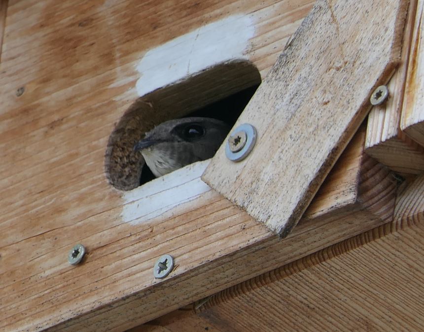 segler ausblick.JPG