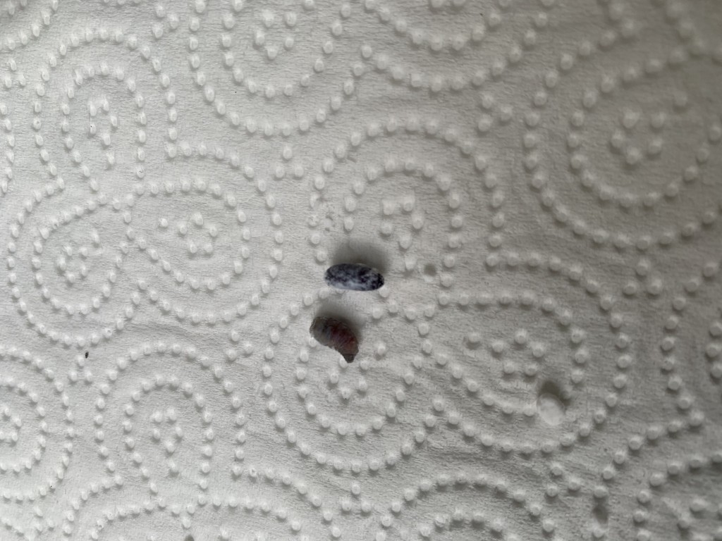 Was ist das?