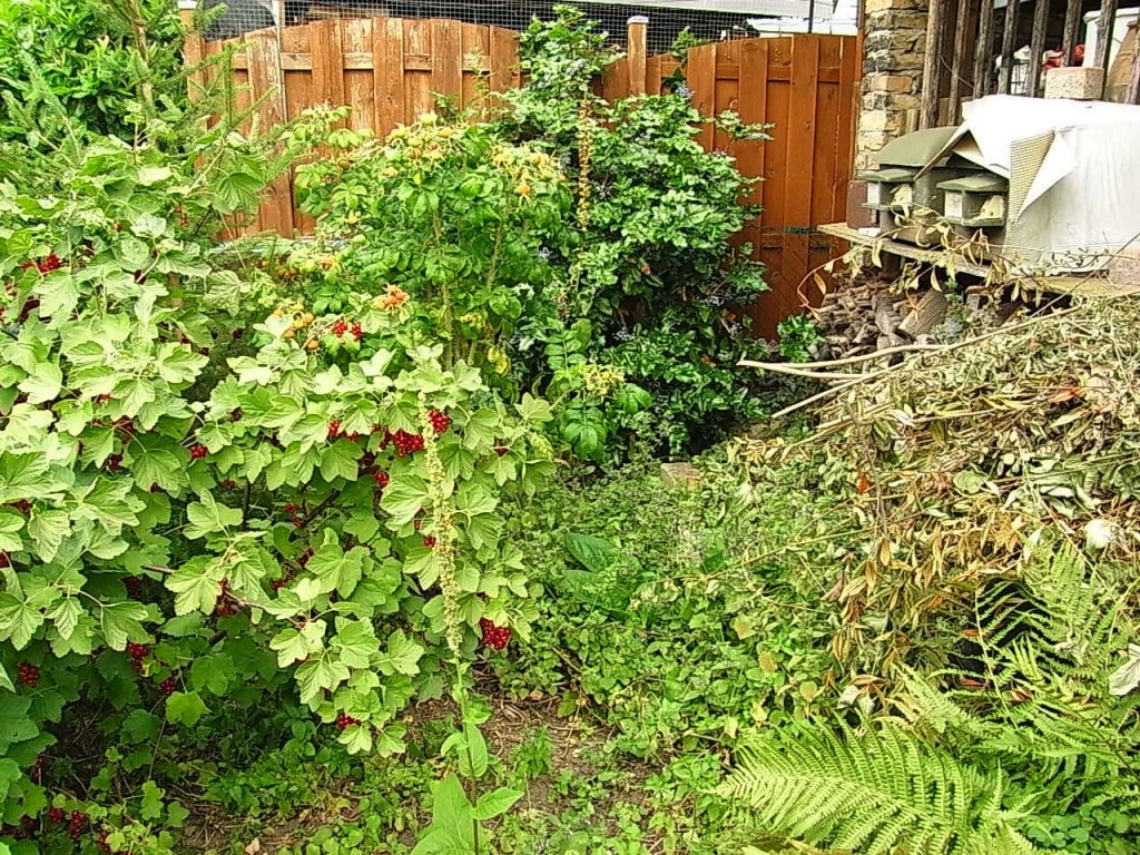 R0018689.JPG