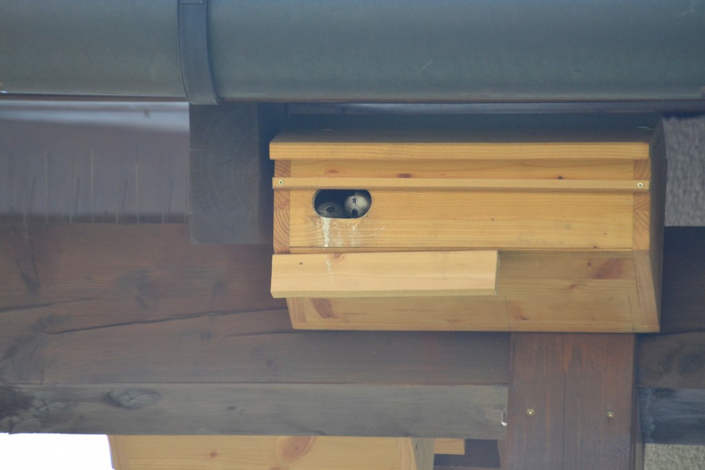 Da unten ist schon wieder diese Frau mit der Kamera...