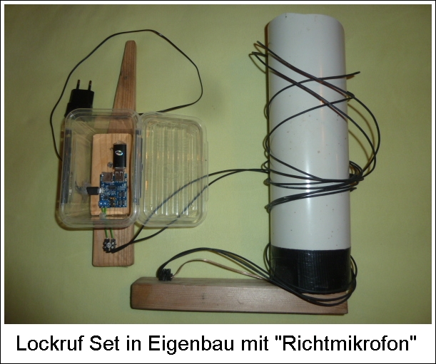 P1110255-1.JPG