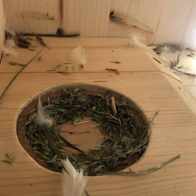 AD047695-F739-44D5-B3D9-88E666D8F249.jpeg